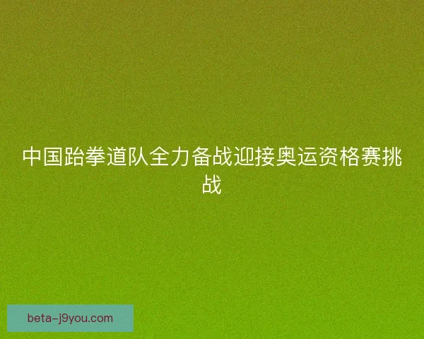 中国跆拳道队全力备战迎接奥运资格赛挑战 中国跆拳道队全力备战迎接奥运资格赛挑战