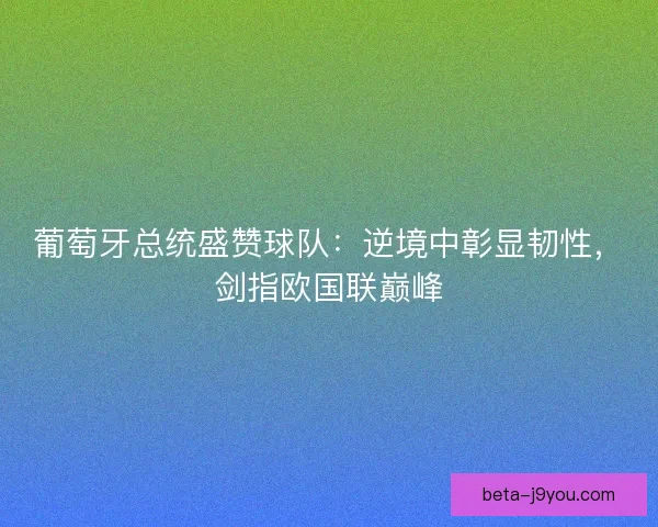 葡萄牙总统盛赞球队：逆境中彰显韧性，剑指欧国联巅峰